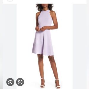 Eliza J Lavender Scalloped Mini Dress